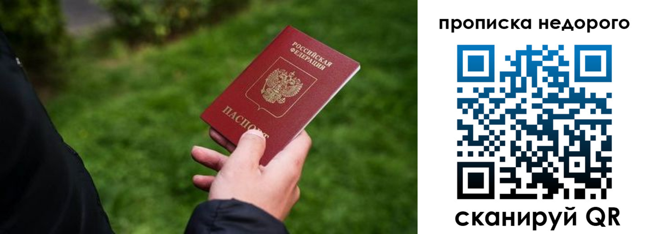 временная регистрация поиск в Ясном